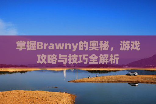 掌握Brawny的奥秘，游戏攻略与技巧全解析
