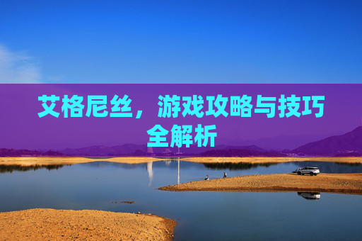 艾格尼丝，游戏攻略与技巧全解析