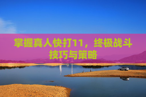 掌握真人快打11，终极战斗技巧与策略
