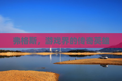 弗格斯，游戏界的传奇英雄