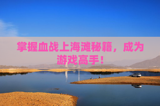 掌握血战上海滩秘籍，成为游戏高手！