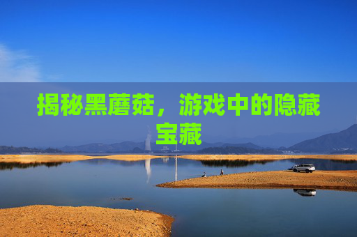 揭秘黑蘑菇，游戏中的隐藏宝藏