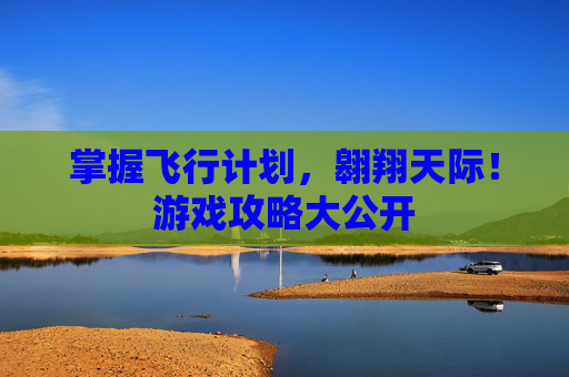 掌握飞行计划，翱翔天际！游戏攻略大公开