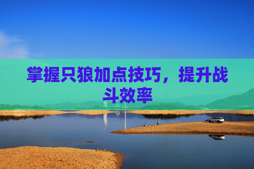 掌握只狼加点技巧，提升战斗效率