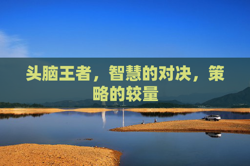 头脑王者，智慧的对决，策略的较量