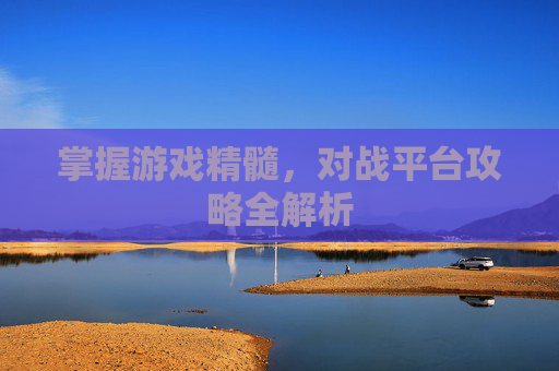 掌握游戏精髓，对战平台攻略全解析