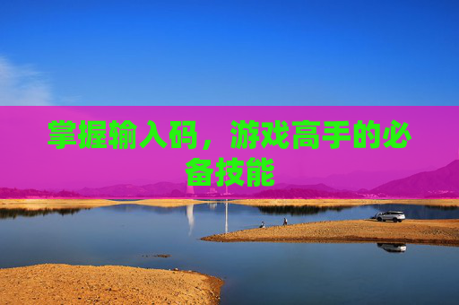 掌握输入码，游戏高手的必备技能