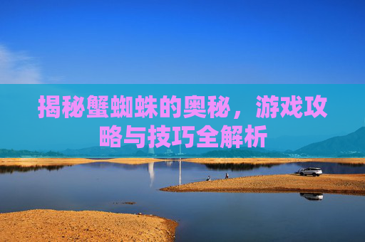 揭秘蟹蜘蛛的奥秘，游戏攻略与技巧全解析
