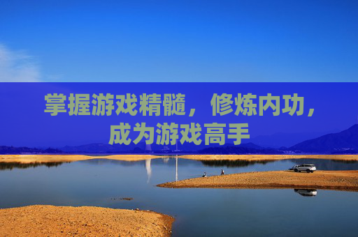 掌握游戏精髓，修炼内功，成为游戏高手