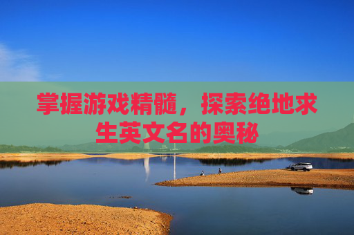 掌握游戏精髓，探索绝地求生英文名的奥秘