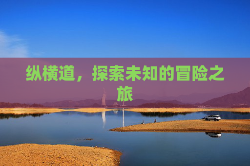 纵横道，探索未知的冒险之旅