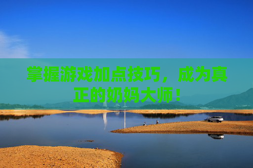 掌握游戏加点技巧，成为真正的奶妈大师！