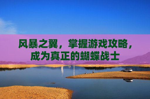 风暴之翼，掌握游戏攻略，成为真正的蝴蝶战士