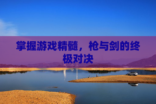 掌握游戏精髓，枪与剑的终极对决
