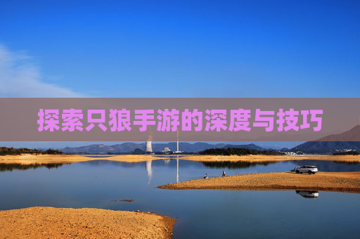 探索只狼手游的深度与技巧