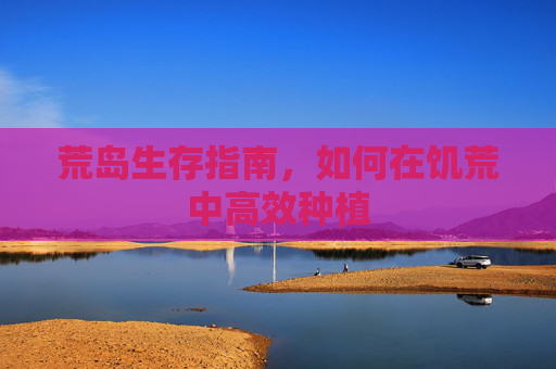荒岛生存指南，如何在饥荒中高效种植