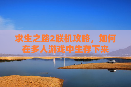 求生之路2联机攻略，如何在多人游戏中生存下来