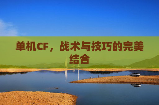 单机CF，战术与技巧的完美结合