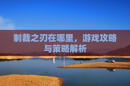 制裁之刃在哪里，游戏攻略与策略解析