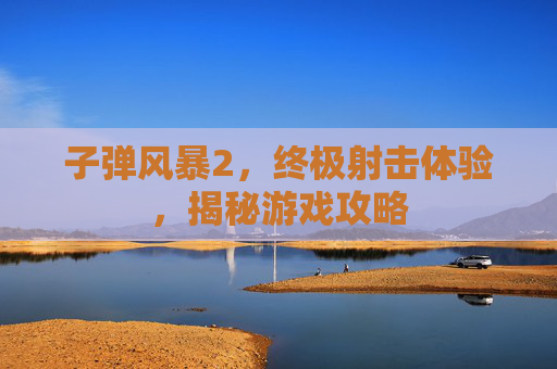 子弹风暴2，终极射击体验，揭秘游戏攻略