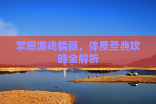 掌握游戏精髓，体质圣典攻略全解析