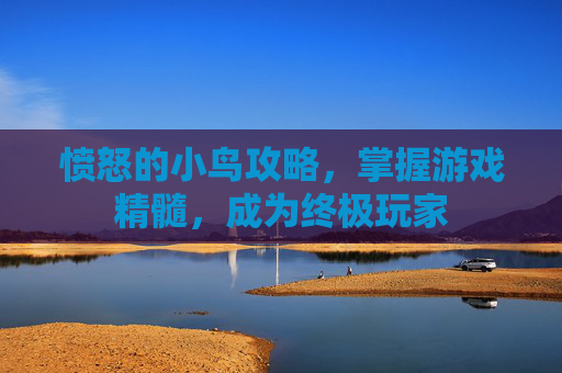愤怒的小鸟攻略，掌握游戏精髓，成为终极玩家