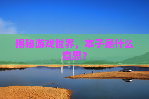 揭秘游戏世界，本子是什么意思？