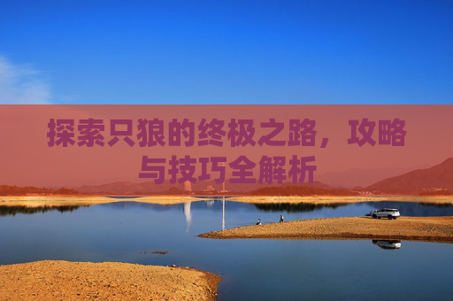 探索只狼的终极之路，攻略与技巧全解析