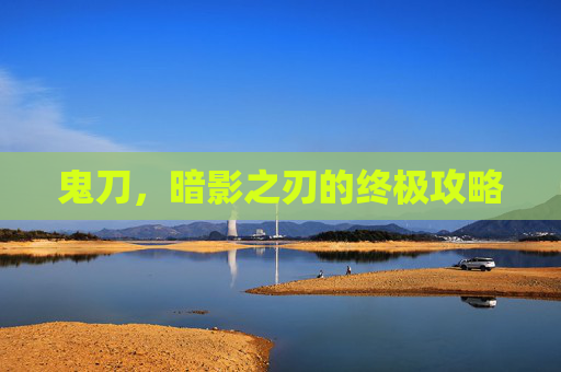 鬼刀,暗影之刃的终极攻略 鬼刀,暗影之刃的终极攻略