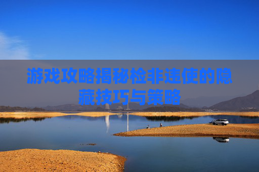 游戏攻略揭秘检非违使的隐藏技巧与策略