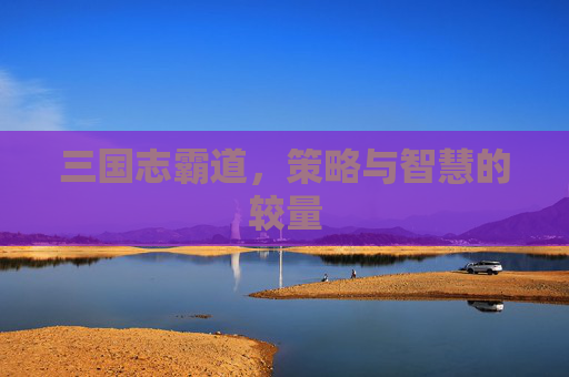 三国志霸道，策略与智慧的较量