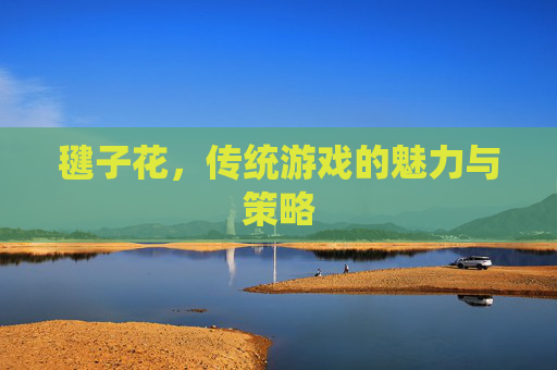 毽子花，传统游戏的魅力与策略