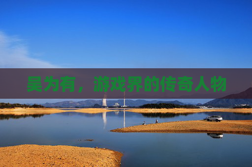 吴为有，游戏界的传奇人物