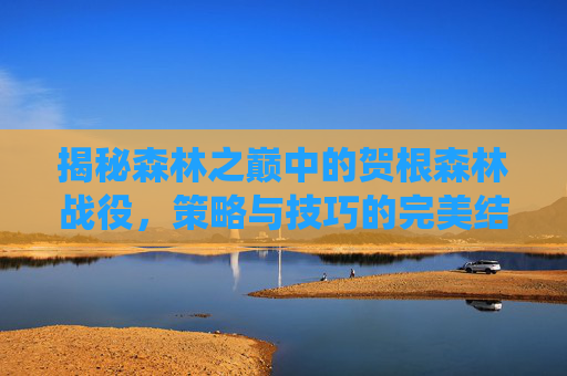 揭秘森林之巅中的贺根森林战役，策略与技巧的完美结合