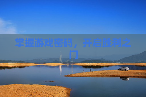 掌握游戏密码，开启胜利之门