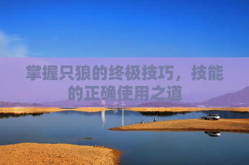掌握只狼的终极技巧，技能的正确使用之道