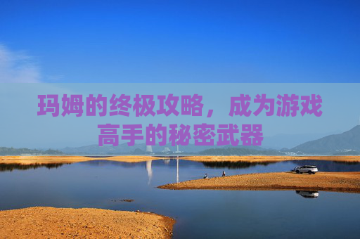 玛姆的终极攻略，成为游戏高手的秘密武器