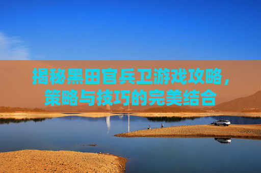 揭秘黑田官兵卫游戏攻略，策略与技巧的完美结合