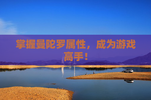 掌握曼陀罗属性，成为游戏高手！