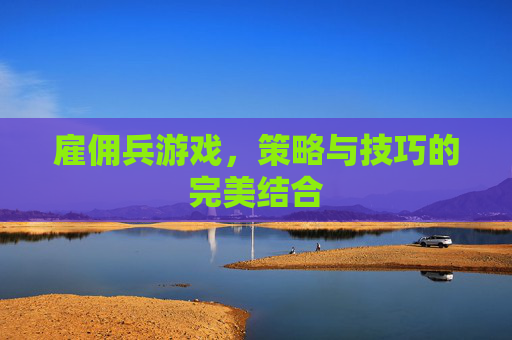 雇佣兵游戏，策略与技巧的完美结合