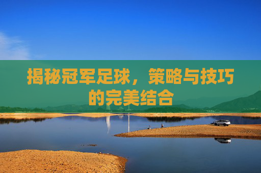 揭秘冠军足球，策略与技巧的完美结合