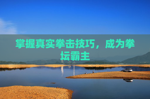 掌握真实拳击技巧，成为拳坛霸主