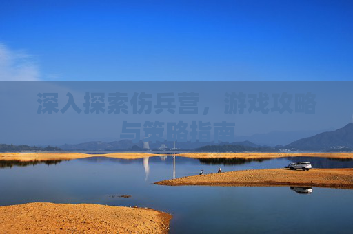 深入探索伤兵营，游戏攻略与策略指南