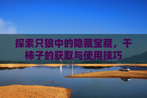 探索只狼中的隐藏宝藏，干柿子的获取与使用技巧