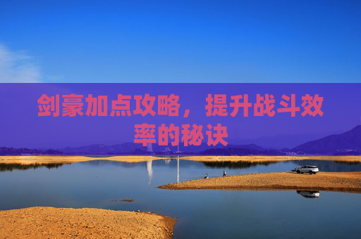 剑豪加点攻略，提升战斗效率的秘诀