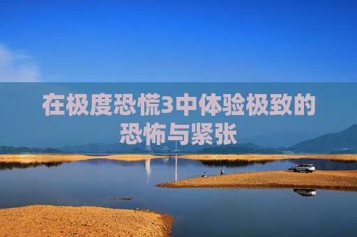 在极度恐慌3中体验极致的恐怖与紧张 在极度恐慌3中体验极致的恐怖与紧张
