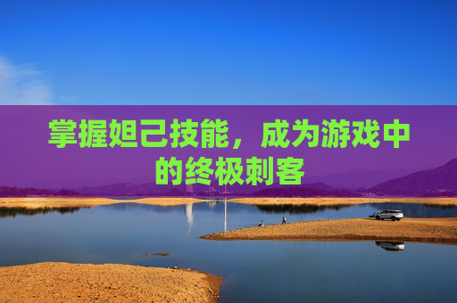 掌握妲己技能，成为游戏中的终极刺客