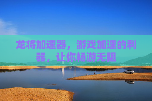 龙将加速器，游戏加速的利器，让你畅游无阻