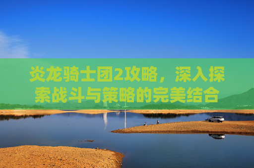 炎龙骑士团2攻略，深入探索战斗与策略的完美结合