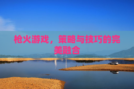 枪火游戏，策略与技巧的完美融合